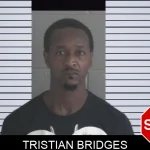Tristian Bridges mugshot – Brantley County , Georgia Tristian Bridges mugshot