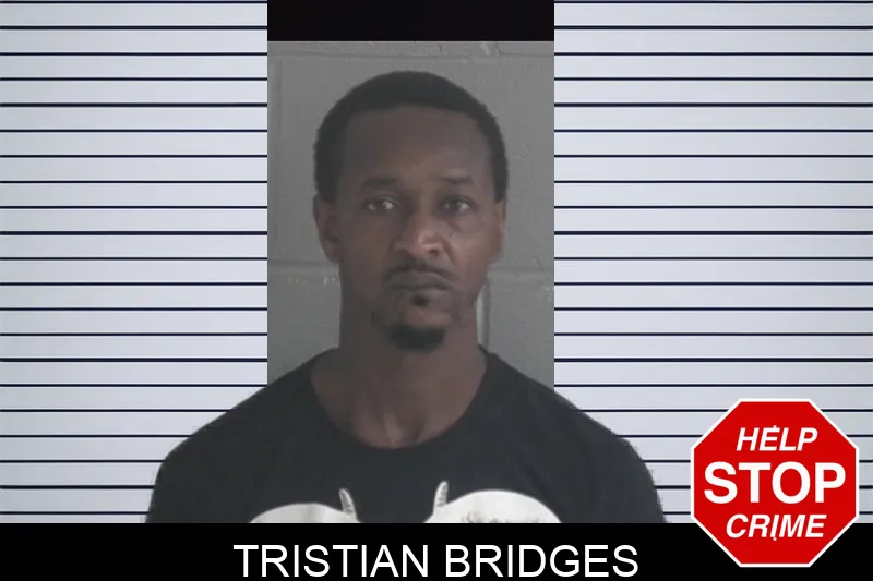 Tristian Bridges mugshot – Brantley County , Georgia Tristian Bridges mugshot