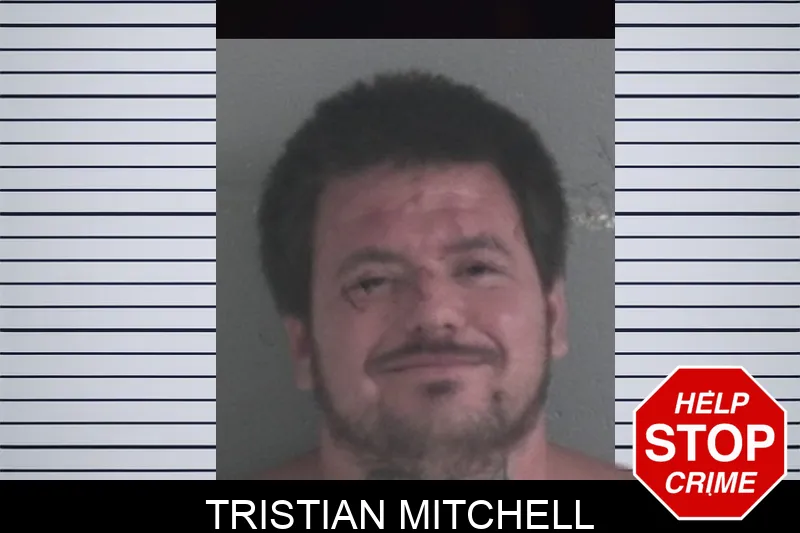 Tristian Mitchell mugshot
