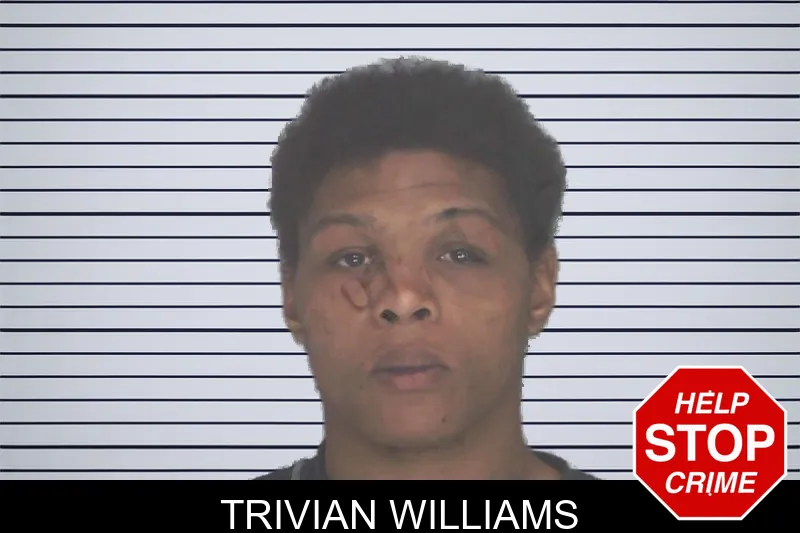 Trivian Williams mugshot