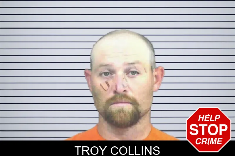 Troy Collins mugshot