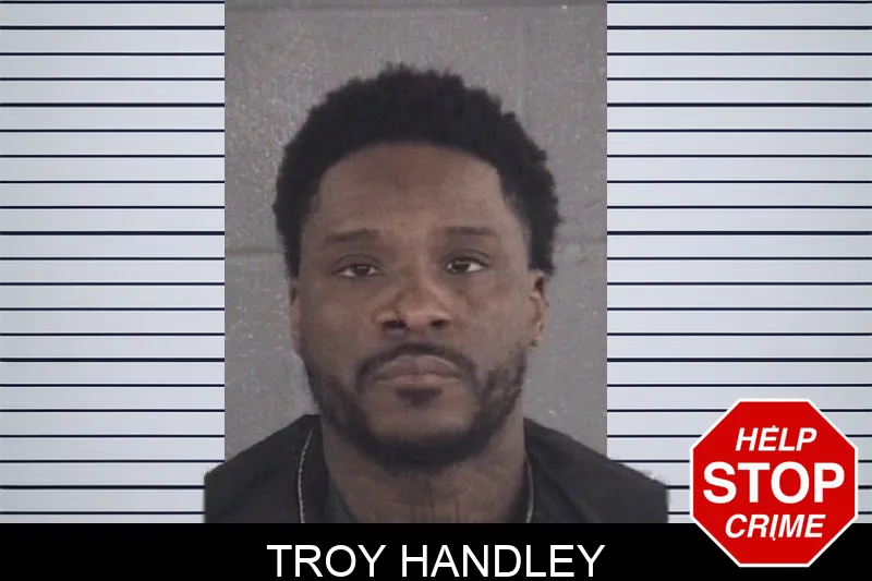 Troy Handley mugshot