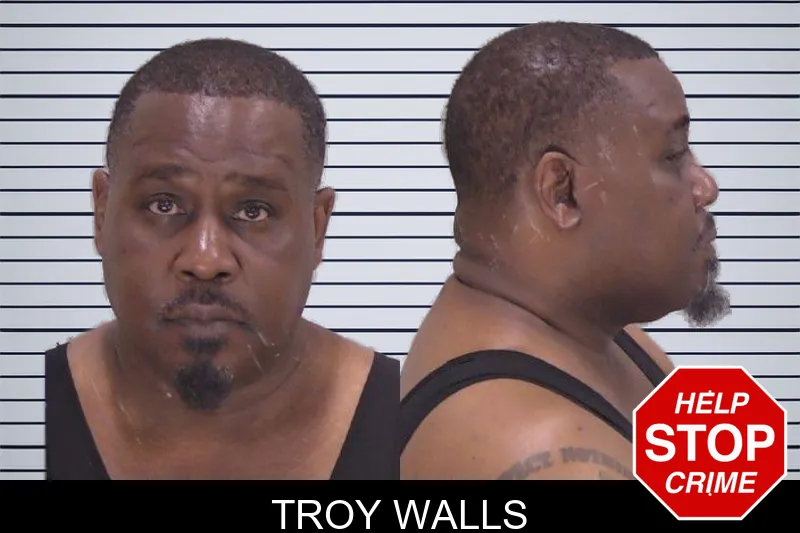 Troy Walls mugshot