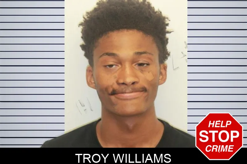 Troy Williams mugshot – Chatham County , Georgia Troy Williams mugshot