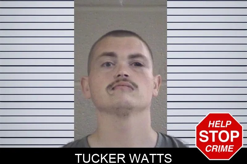 Tucker Watts mugshot