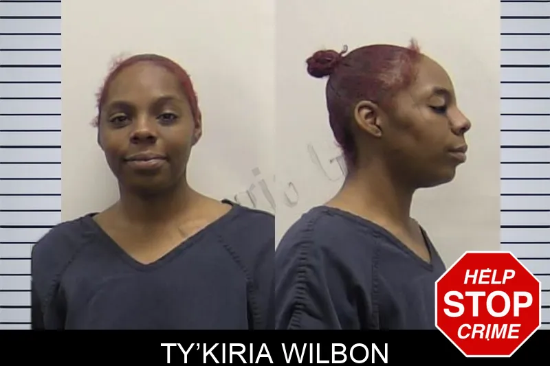 Ty’Kiria Wilbon mugshot