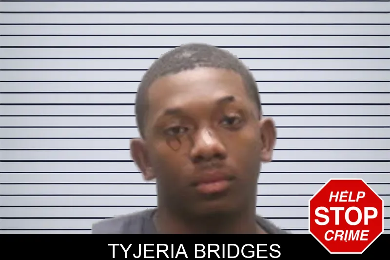 Tyjeria Bridges mugshot
