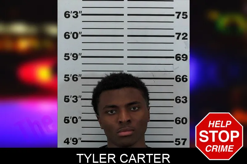 Tyler Carter mugshot – Hart County , Georgia Tyler Carter mugshot