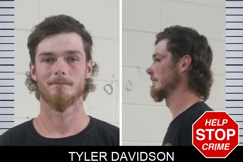 Tyler Davidson mugshot – Houston County , Georgia Tyler Davidson mugshot