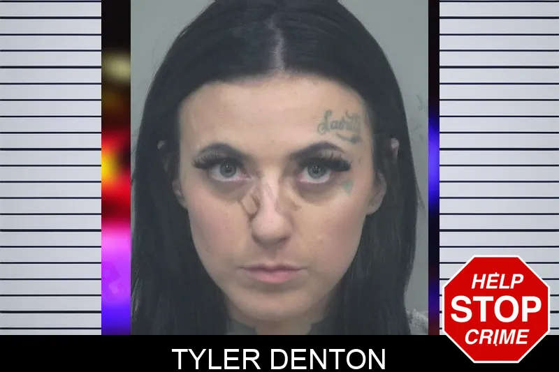 Tyler Denton mugshot