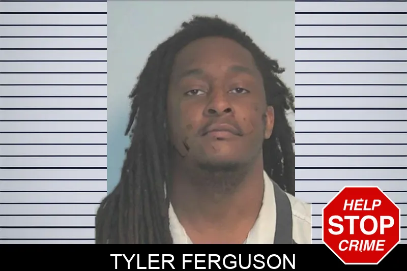 Tyler Ferguson mugshot – Berrien County , Georgia Tyler Ferguson mugshot