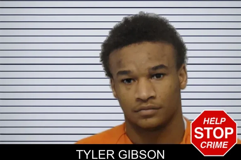 Tyler Gibson mugshot – Bibb County , Georgia Tyler Gibson