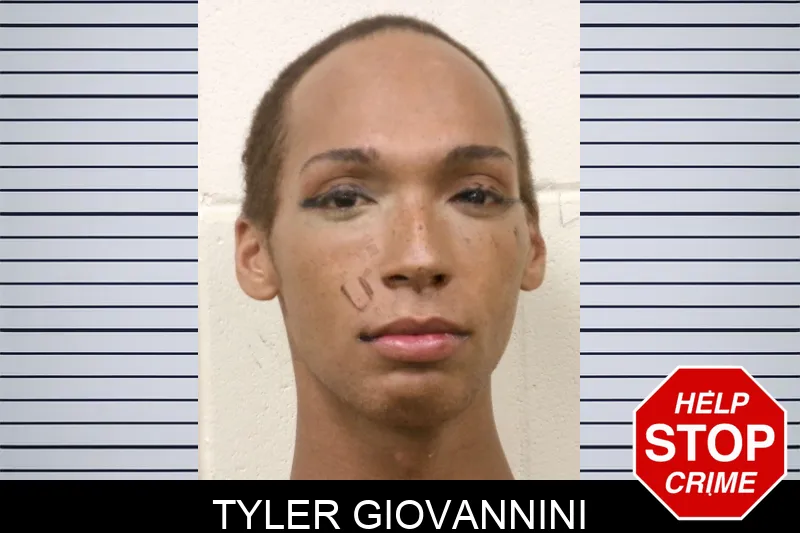 Tyler Giovannini mugshot