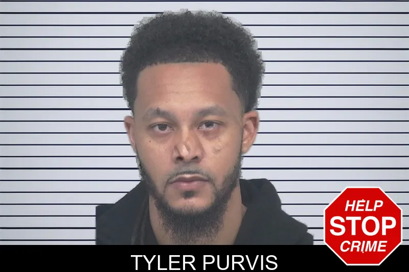Tyler Purvis mugshot – Gwinnett County , Georgia Tyler Purvis mugshot