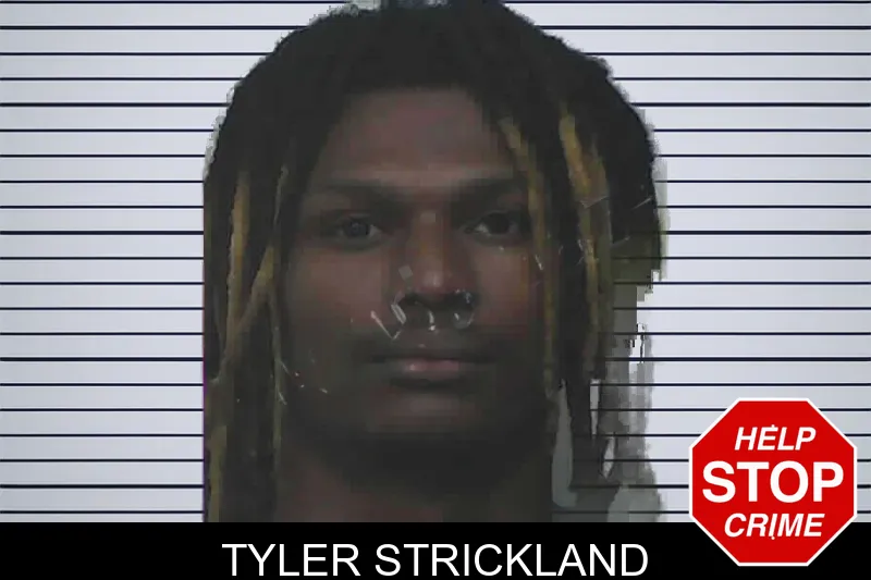 Tyler Strickland mugshot