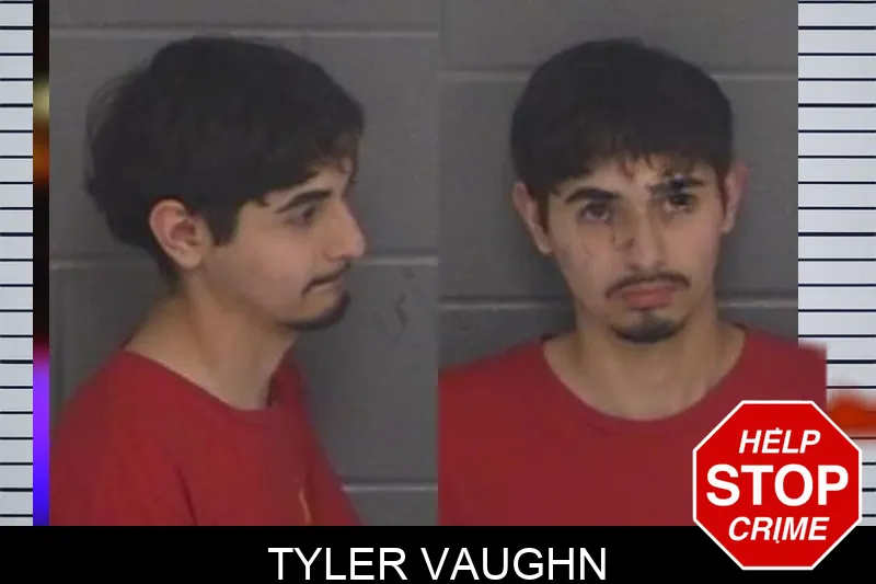 Tyler Vaughn mugshot – Barrow County , Georgia Tyler Vaughn mugshot