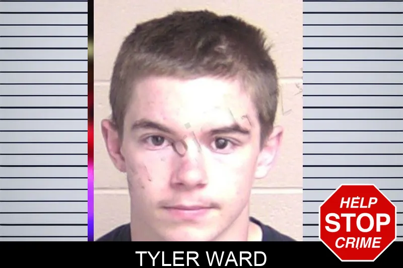 Tyler Ward mugshot