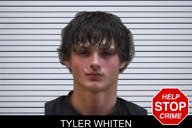 Tyler Whiten mugshot