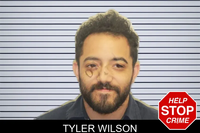 Tyler Wilson mugshot – Chatham County , Georgia Tyler Wilson mugshot