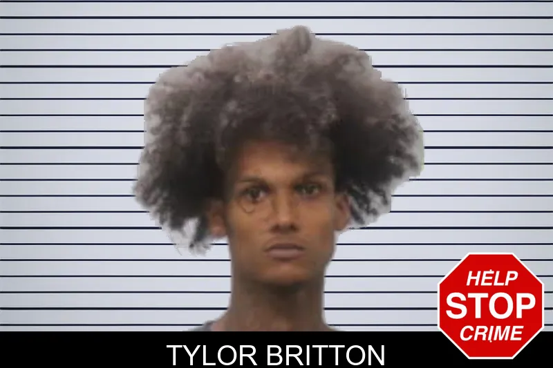 Tylor Britton mugshot