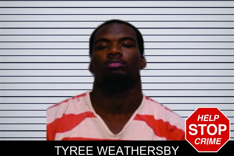 Tyree Weathersby mugshot – Bartow County , Georgia Tyree Weathersby mugshot