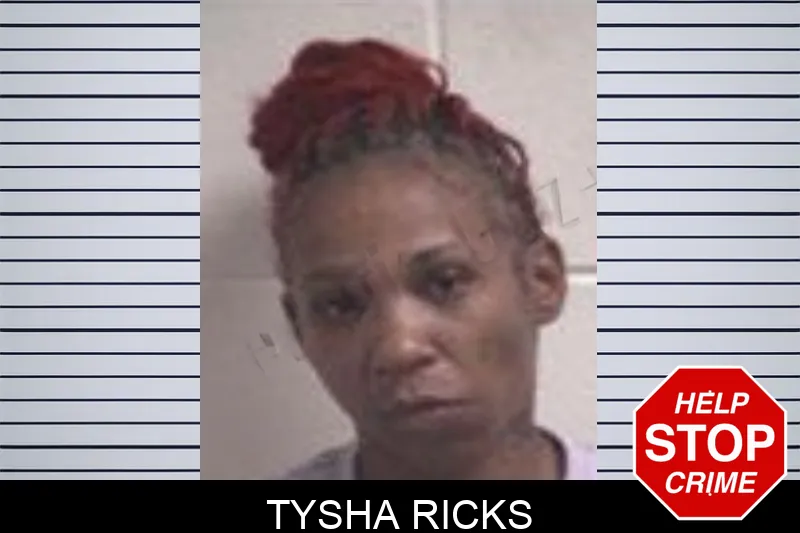 Tysha Ricks mugshot