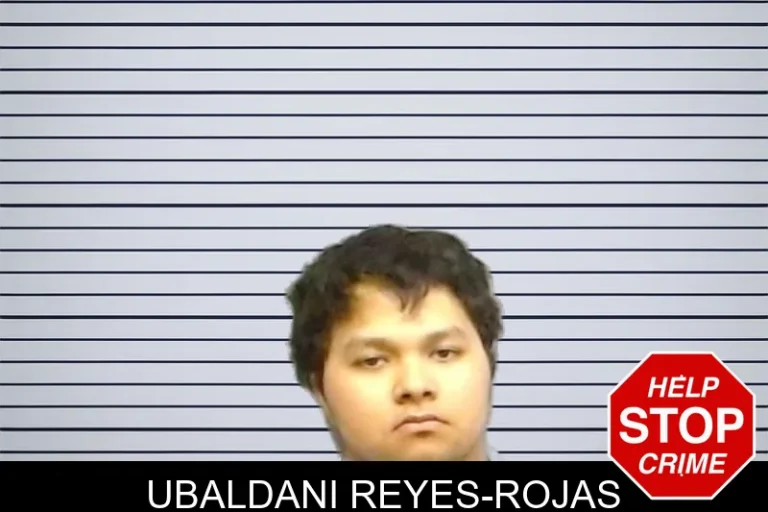 Ubaldani Reyes-Rojas