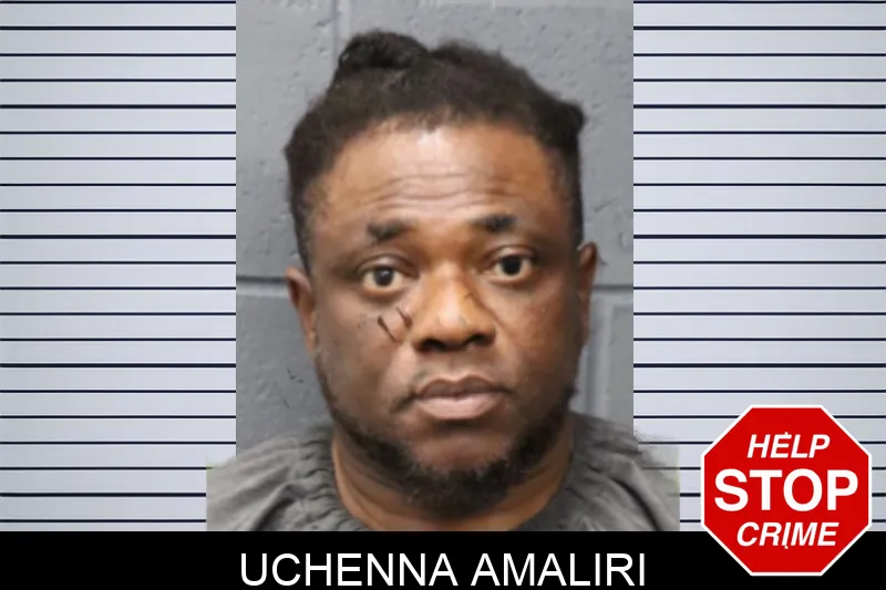 Uchenna Amaliri mugshot – Forsyth County , Georgia Uchenna Amaliri mugshot