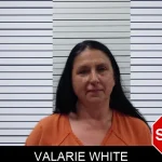 Valarie White mugshot – Pickens County , Georgia Valarie White mugshot
