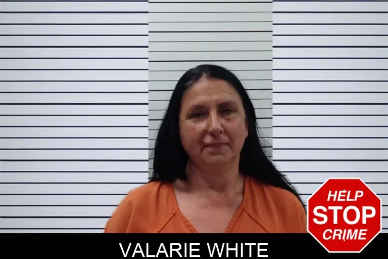 Valarie White mugshot – Pickens County , Georgia Valarie White