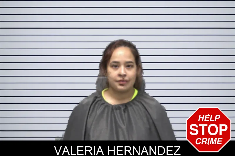 Valeria Hernandez mugshot