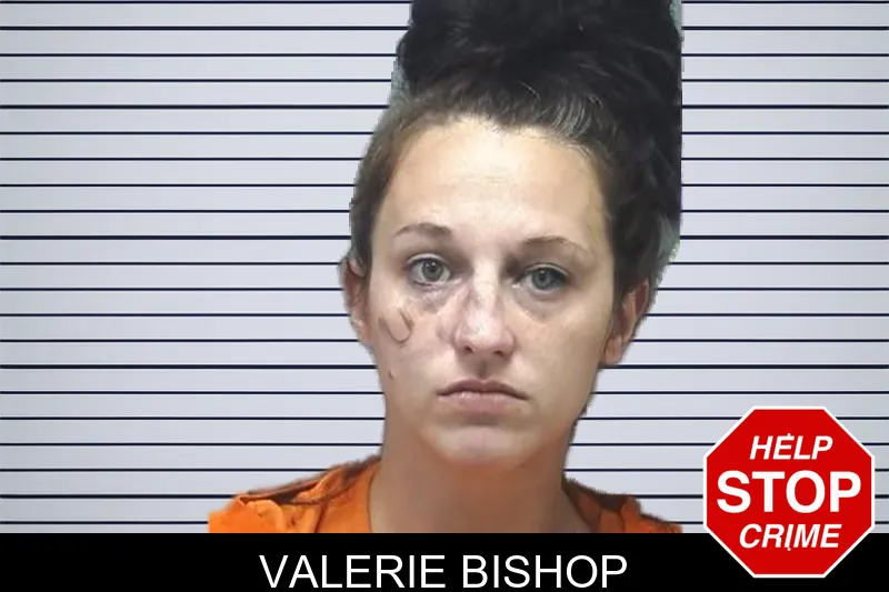 Valerie Bishop mugshot