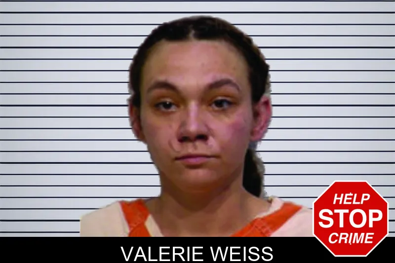 Valerie Weiss mugshot – Bartow County , Georgia Valerie Weiss mugshot