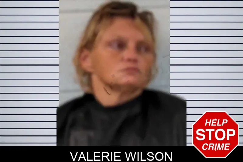 Valerie Wilson mugshot – Elbert County , Georgia Valerie Wilson mugshot