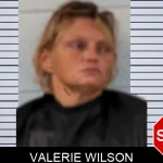 Valerie Wilson mugshot