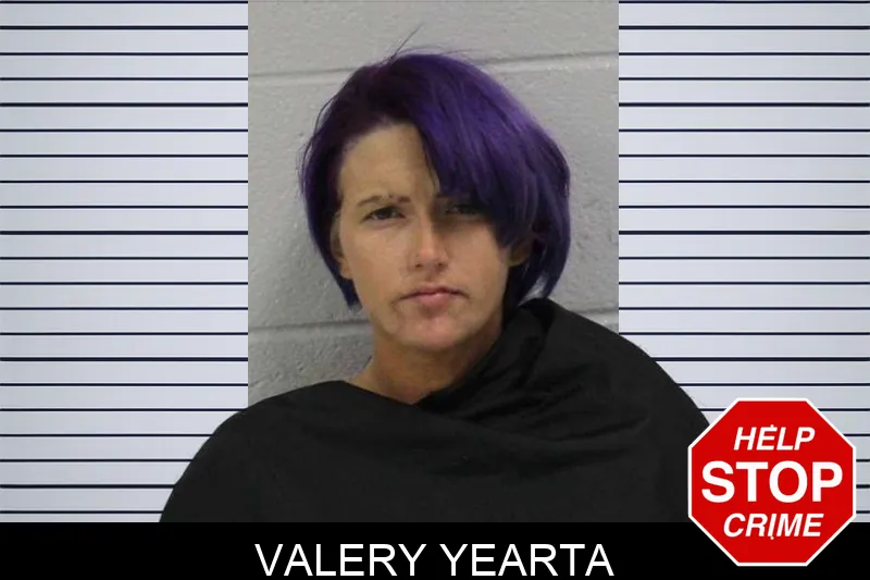 Valery Yearta mugshot