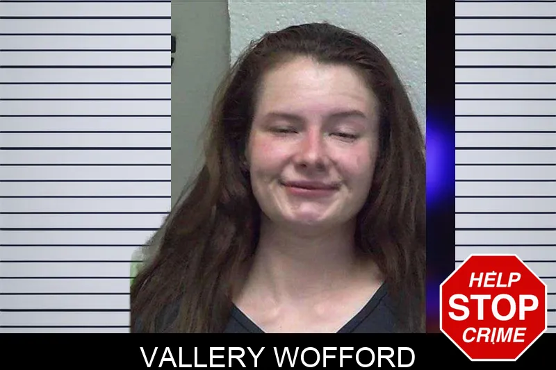 Vallery Wofford mugshot – Gilmer County , Georgia Vallery Wofford mugshot