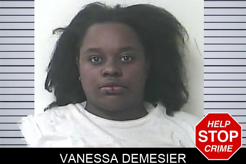 Vanessa Demesier mugshot – Oconee County , Georgia Vanessa Demesier mugshot