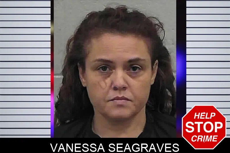 Vanessa Seagraves mugshot