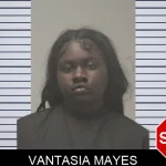 Vantasia Mayes mugshot – Coweta County , Georgia Vantasia Mayes mugshot