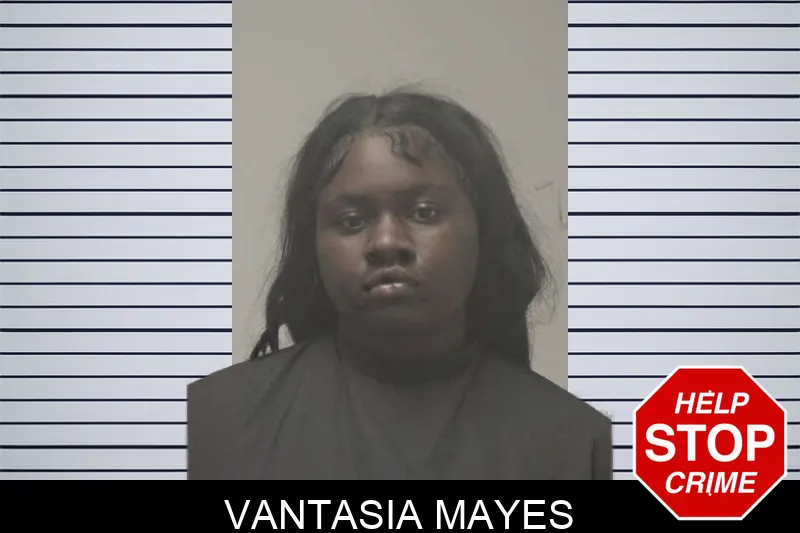 Vantasia Mayes mugshot – Coweta County , Georgia Vantasia Mayes mugshot