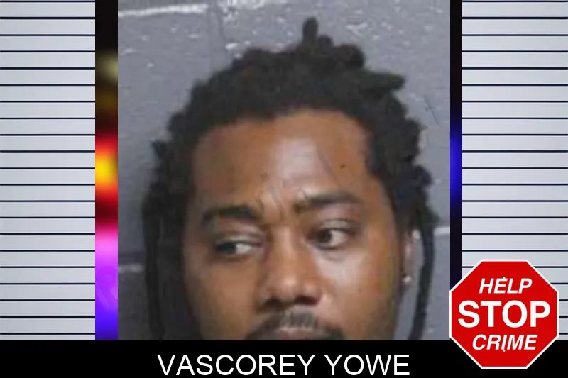 Vascorey Yowe mugshot – Bacon County , Georgia Vascorey Yowe mugshot