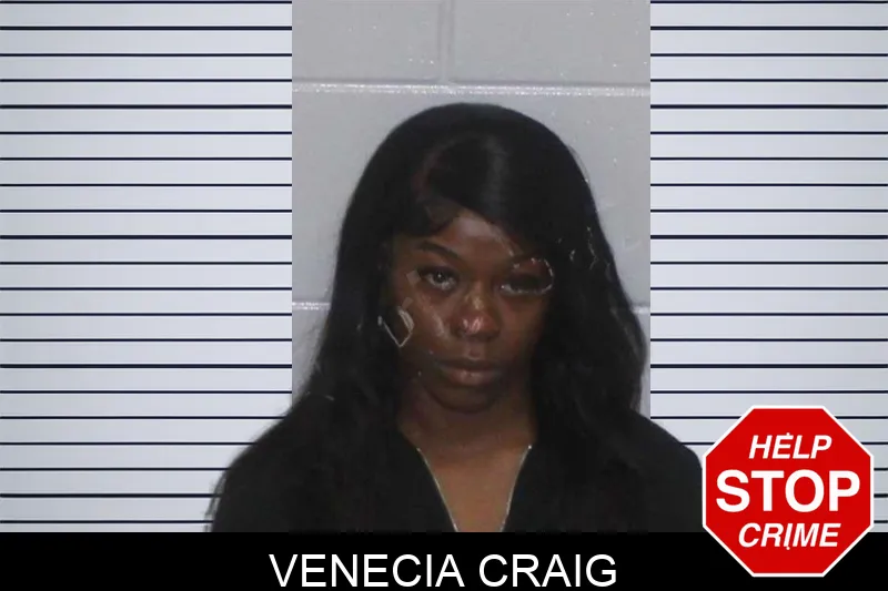 Venecia Craig mugshot