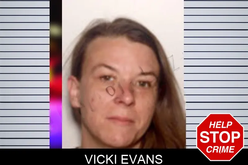 Vicki Evans mugshot – Henry County , Georgia Vicki Evans mugshot
