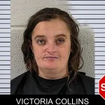 Victoria Collins mugshot – Elbert County , Georgia Victoria Collins mugshot