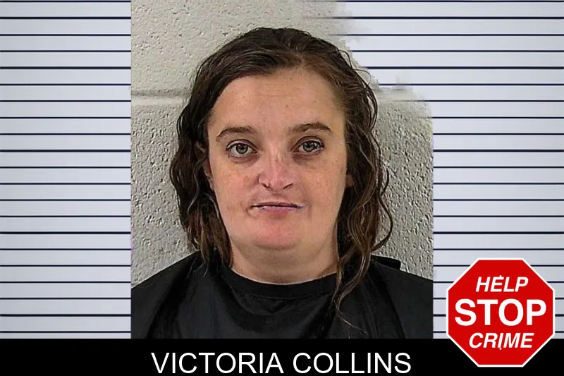Victoria Collins mugshot