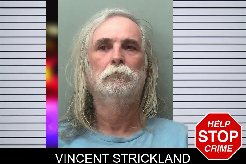 Vincent Strickland mugshot – Towns County , Georgia Vincent Strickland mugshot
