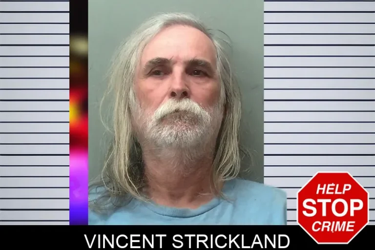 Vincent Strickland mugshot – Towns County , Georgia Vincent Strickland