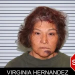 Virginia Hernandez mugshot