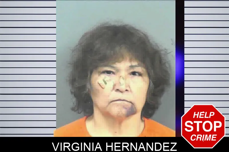 Virginia Hernandez mugshot – Mitchell County , Georgia Virginia Hernandez mugshot